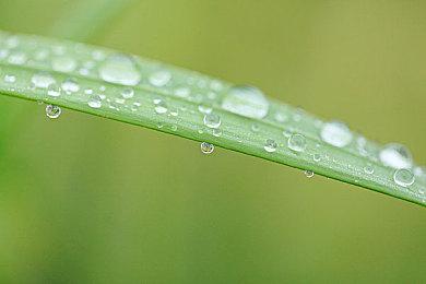 类银河恶魔城游戏《影下九载》 10月10日在PC平台发售